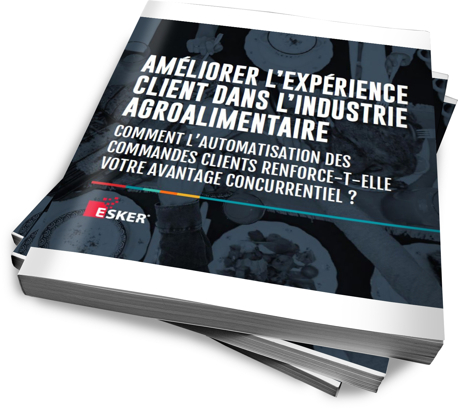 3D - Ebook agroalimentaire 2021.png